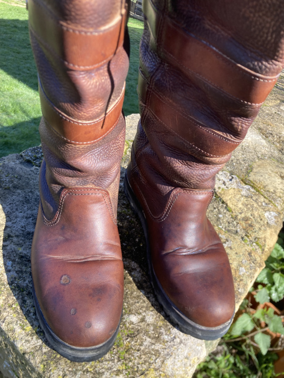 Bottes équitation Dubarry T40 occasion