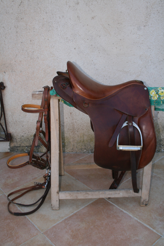 Selle randonnée Forestier Trec 17,5 pouces (2012) occasion