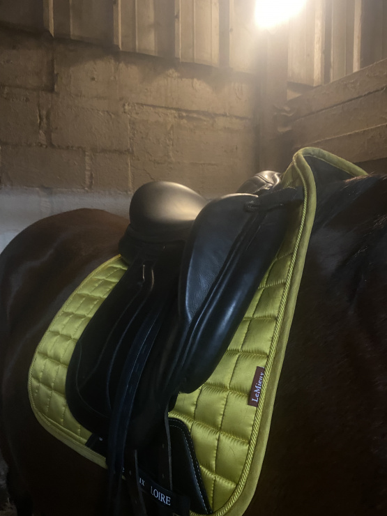 Selle de dressage Éric Thomas occasion