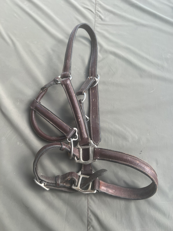 Licol cuir marron (cheval) occasion