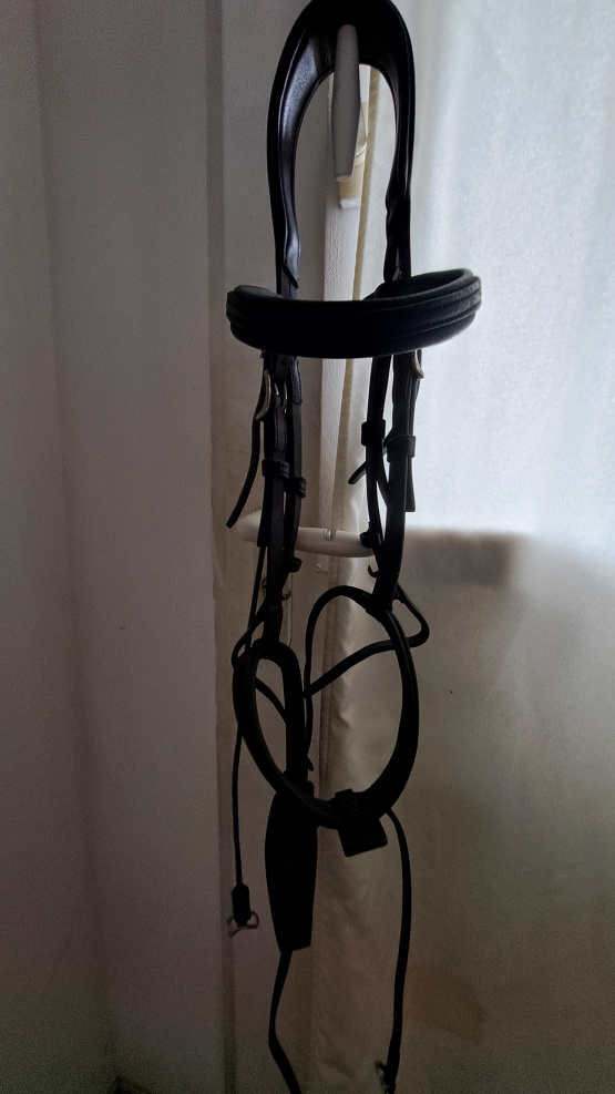 Filet Antarès occasion