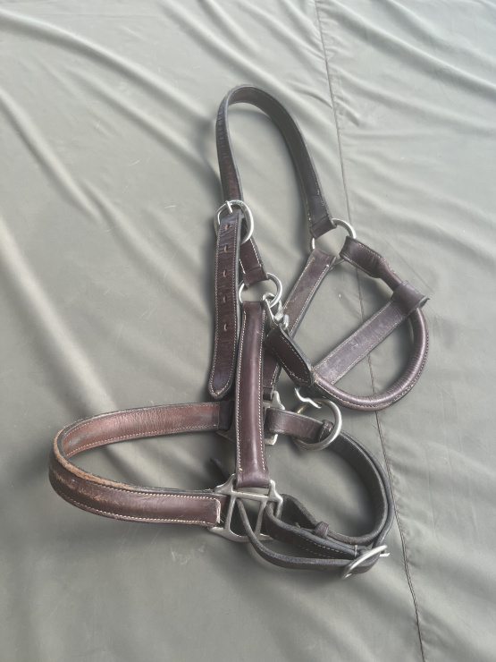 Licol cuir marron (cheval) occasion