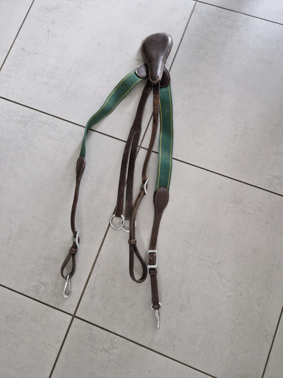 Martingale et Collier Chasse occasion