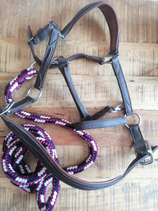 Licol Fouganza & longe norton (cheval) occasion