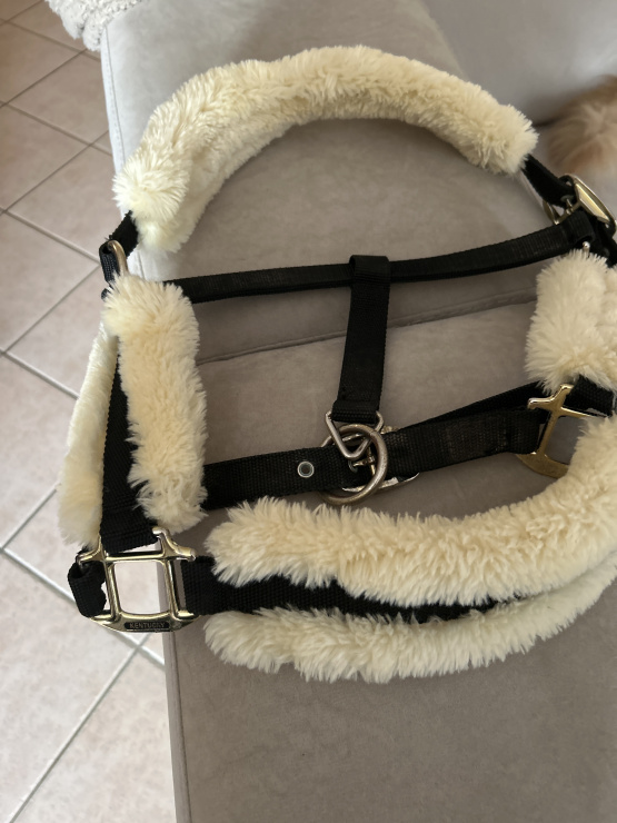 Licol Kentuky (cheval) occasion