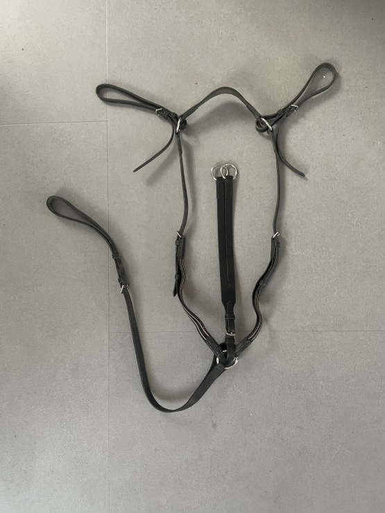 Collier de chasse avec Martingale Fouganza (cheval) occasion