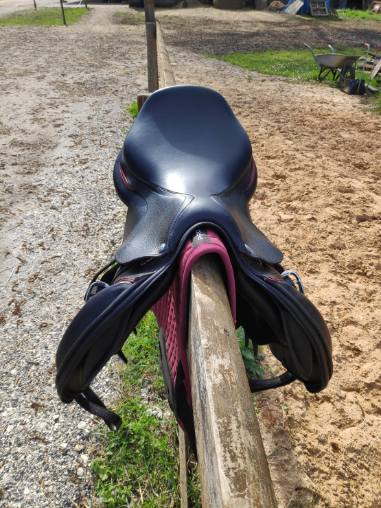 Selle mixte Abelis occasion