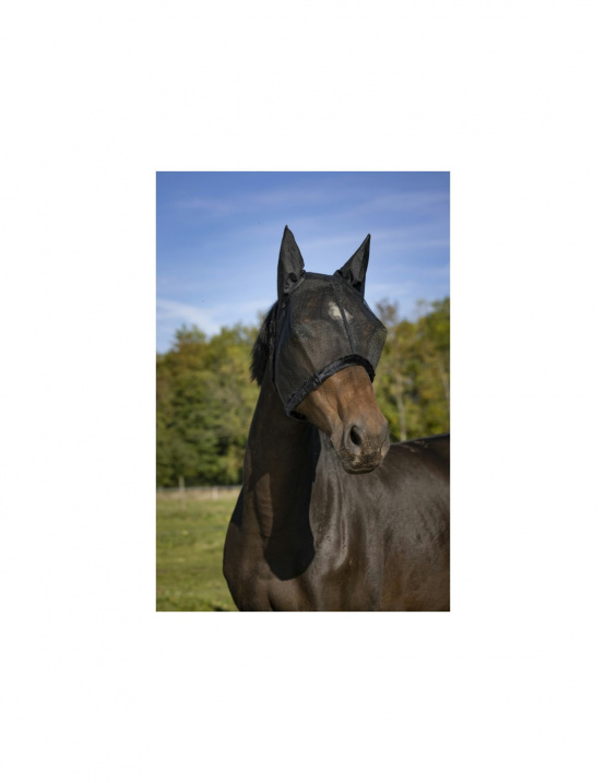 Masque anti-mouches Equithème mesh noir (pur-sang) neuf occasion