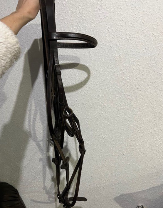Filet / bridon cuir muserolle croisée (cheval) occasion