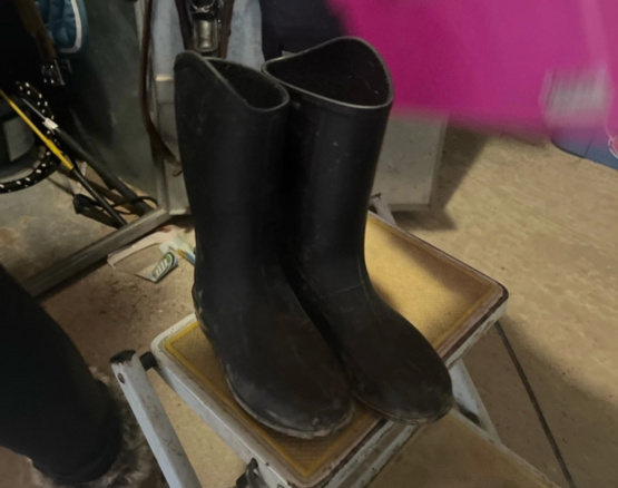 Bottes équitation Fouganza T29 occasion