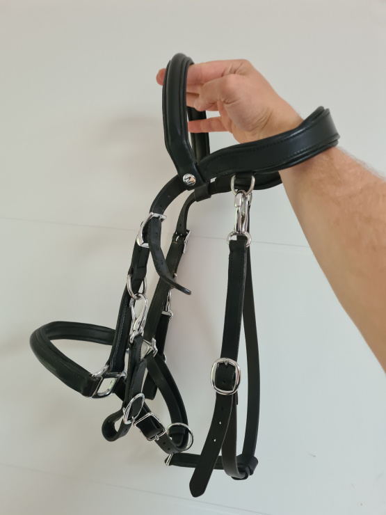 bridon licol Norton cuir noir (cob) neuf occasion