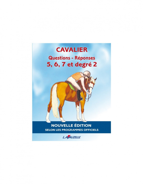 Manuelle Lavauzelle questions & réponses G5-G7 et degré 2 (neuf) occasion