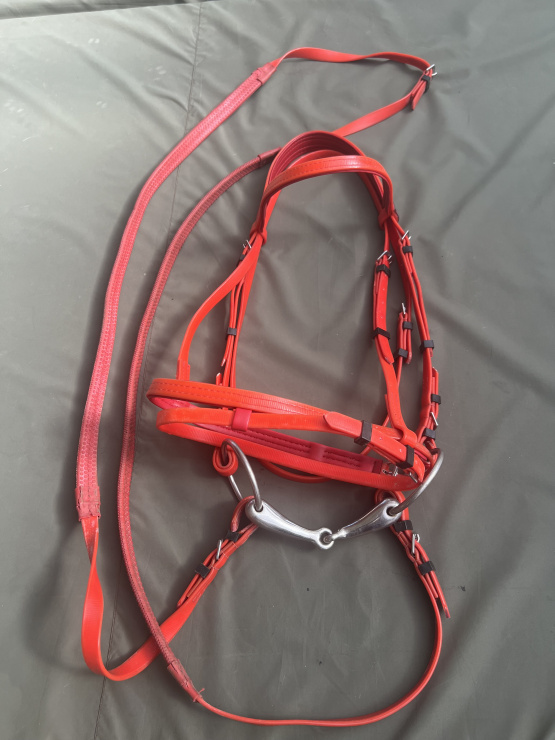 Filet licol Norton rouge (cheval) occasion