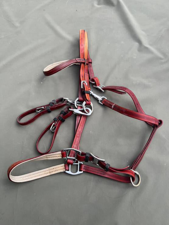Filet / bride Norton synthétique rouge (cheval) occasion