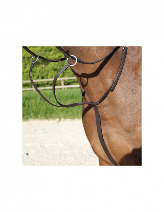 Martingale à anneaux Treadstone Richtan noir (pur-sang) neuf occasion