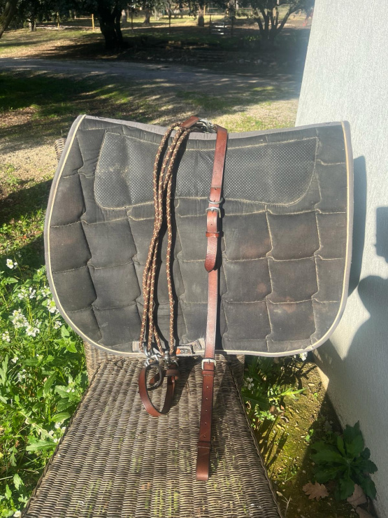Gogue marron (cheval) occasion