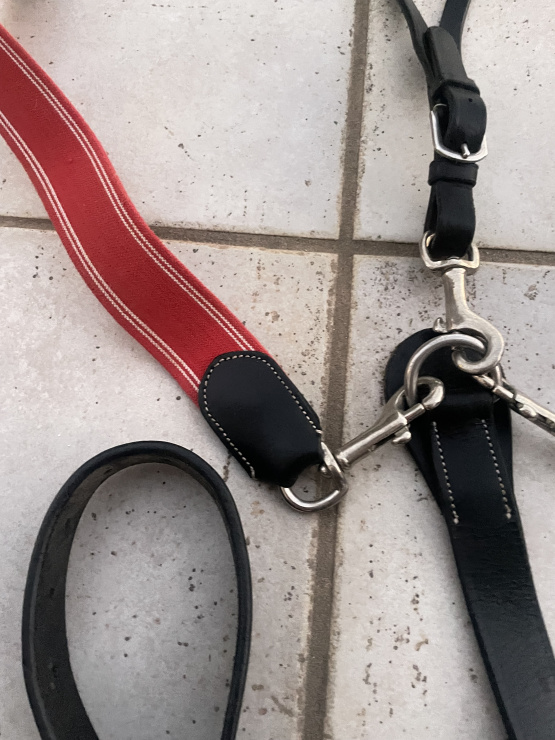 collier de chasse et  martingale occasion