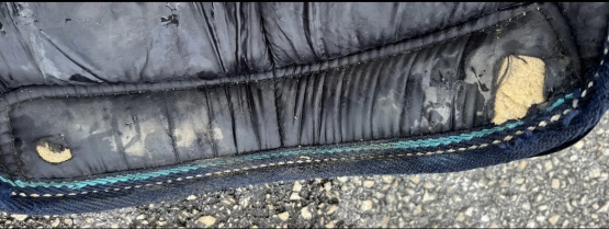 Guêtres de transport Performance (poney) occasion Guêtres de transport Performance (poney) occasion