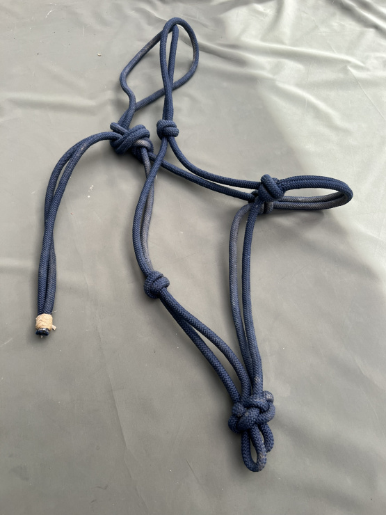 Licol éthologique bleu marine (cheval) occasion
