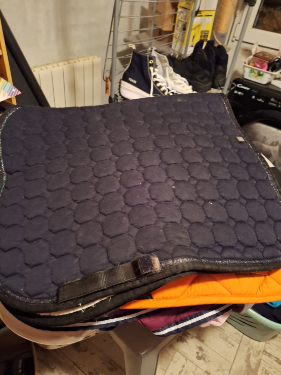 Tapis Equiline occasion