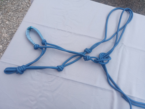 Licol Éthologique bleu occasion