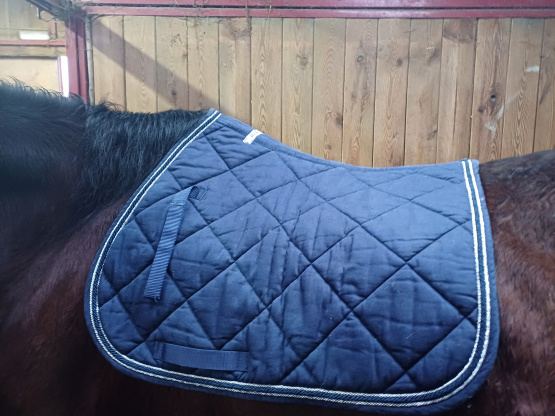 Tapis de selle Animarine bleu (cheval) occasion