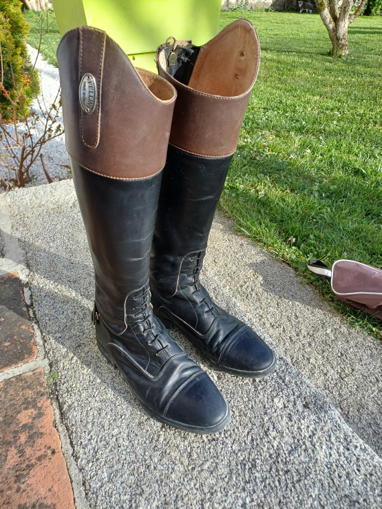 Bottes équitation Fellini T36 occasion