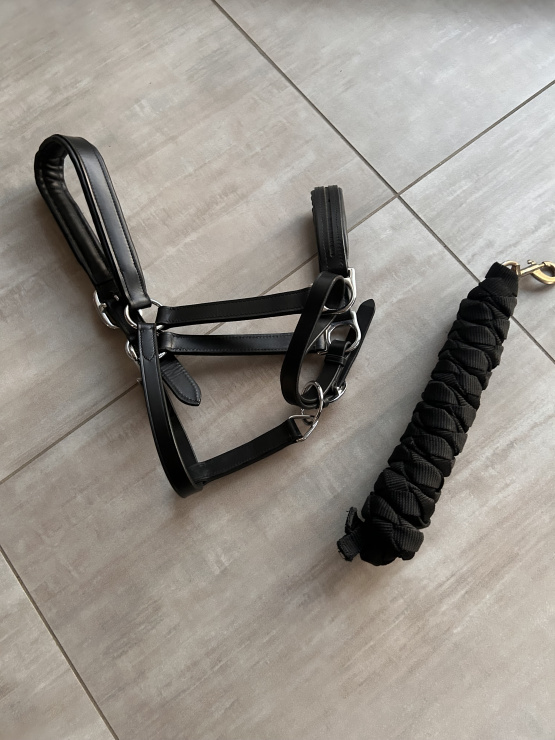 Licol en cuir et longe en corde (neuf) occasion