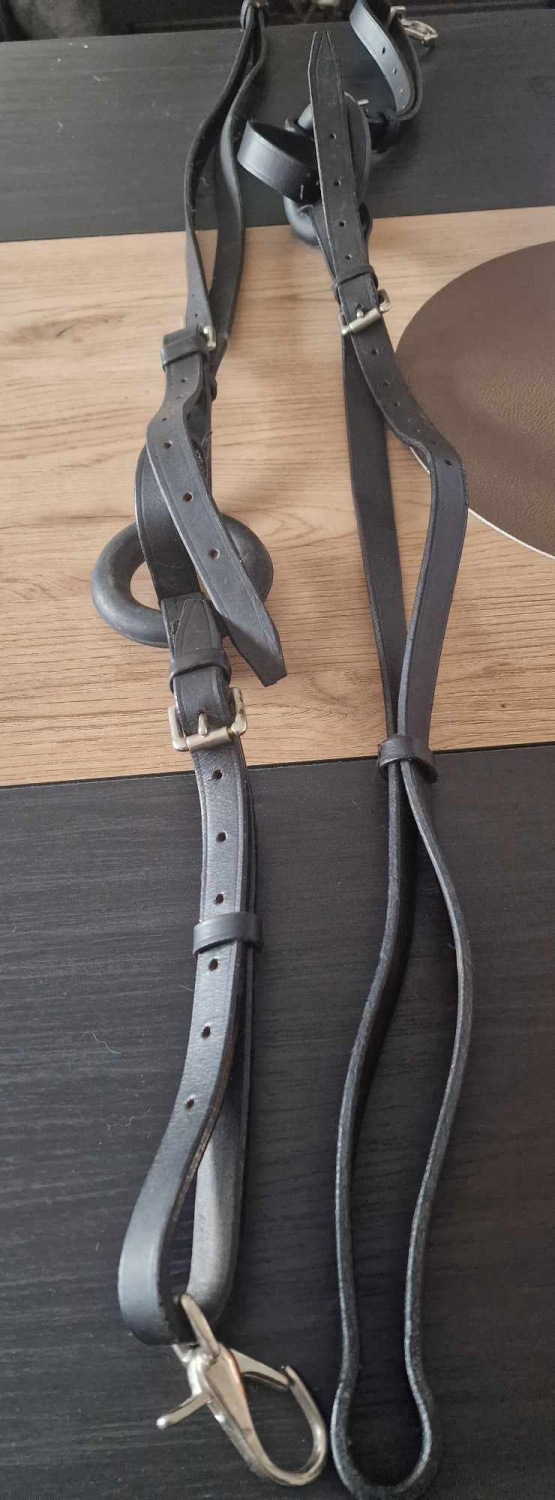 Martingale à anneaux occasion