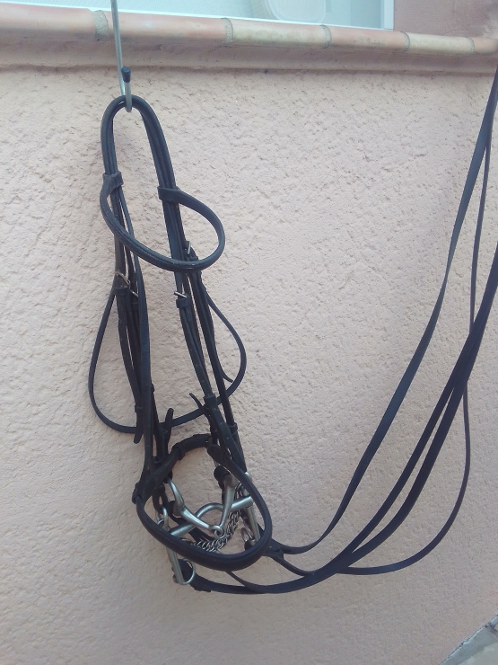 bride ibride complète cuir (cheval) occasion