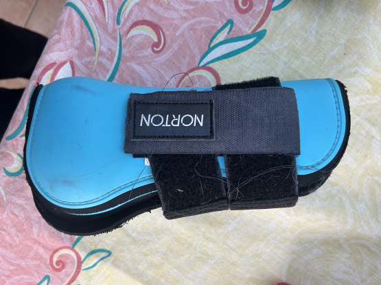 Guêtres Norton bleu (cheval) occasion