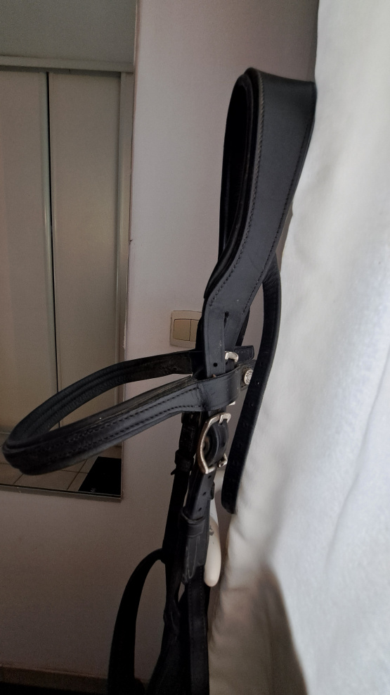 Filet Antarès occasion