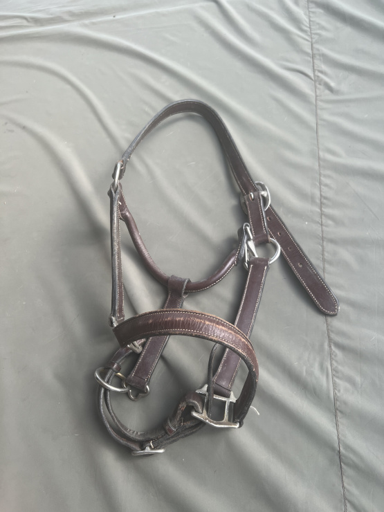 Licol cuir marron (cheval) occasion
