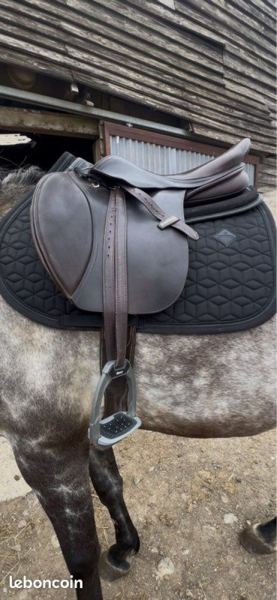Selle Obstacle Dalso Gold by Tattini 17.5 pouces occasion