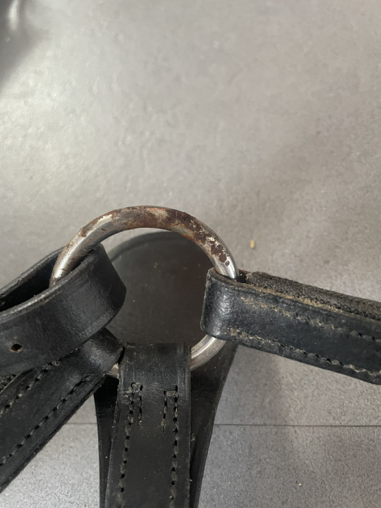 Collier de chasse avec Martingale Fouganza (cheval) occasion
