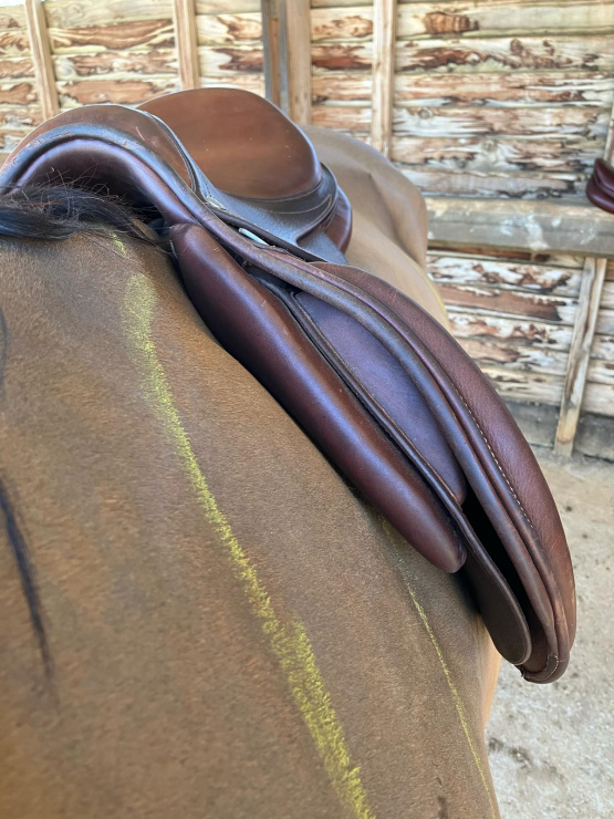 Selle Antares Signature édition limitée 17 occasion
