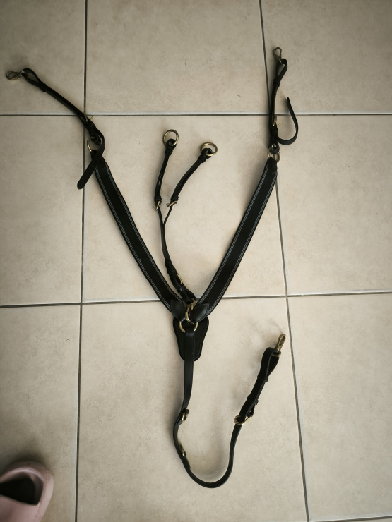 Collier Time Rider (cheval) occasion