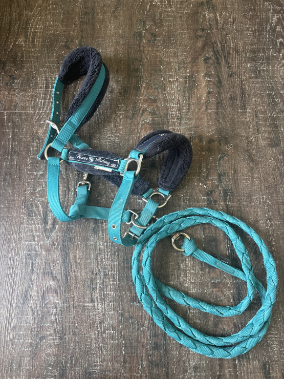 Licol Fouganza moumoute avec longe (poney) occasion
