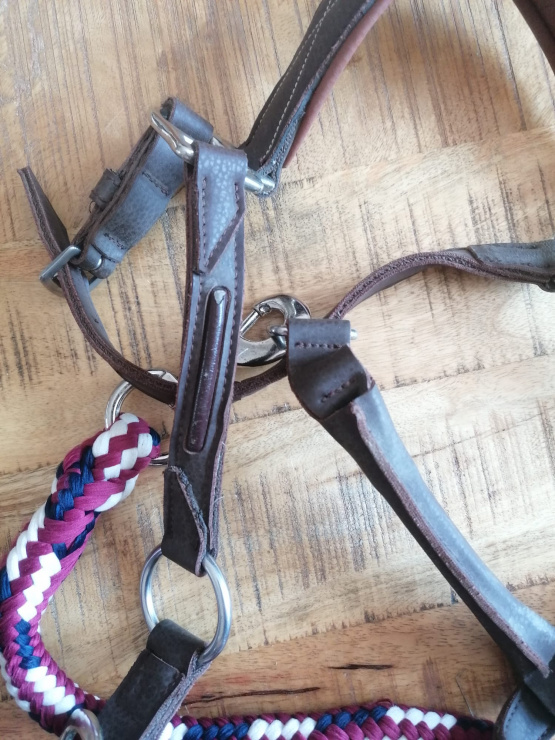 Licol Fouganza & longe norton (cheval) occasion