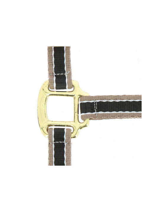 Licol Equithème Polyfun noir (cheval) neuf occasion