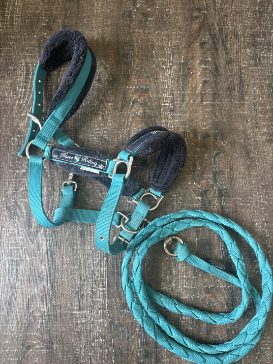 Licol Fouganza moumoute avec longe (poney) occasion