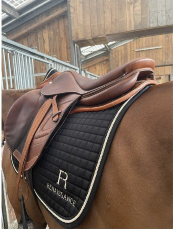 Selle Obstacle Renaissance F 18 pouces (2018) occasion