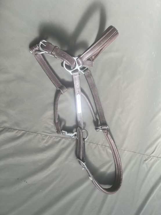 Licol Norton cuir marron (cheval) occasion