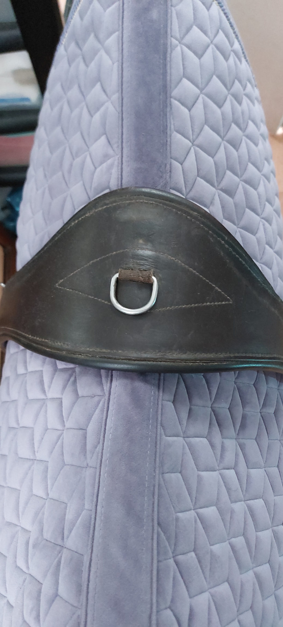 Selle Forestier Segonzac (2001) occasion