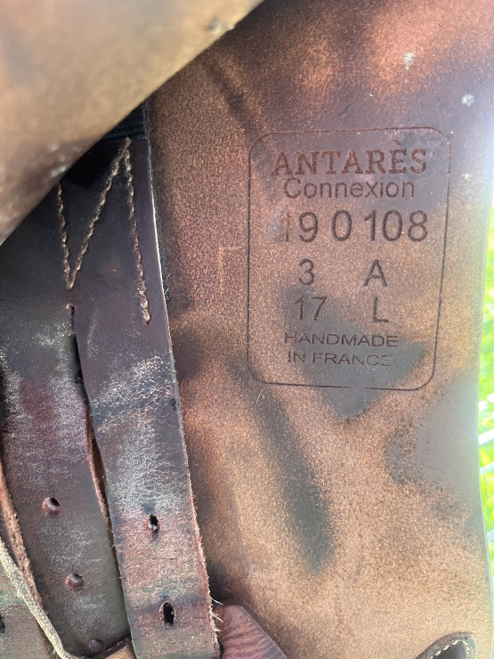 Selle obstacle Antarès Connexion 17 pouces (2019) occasion