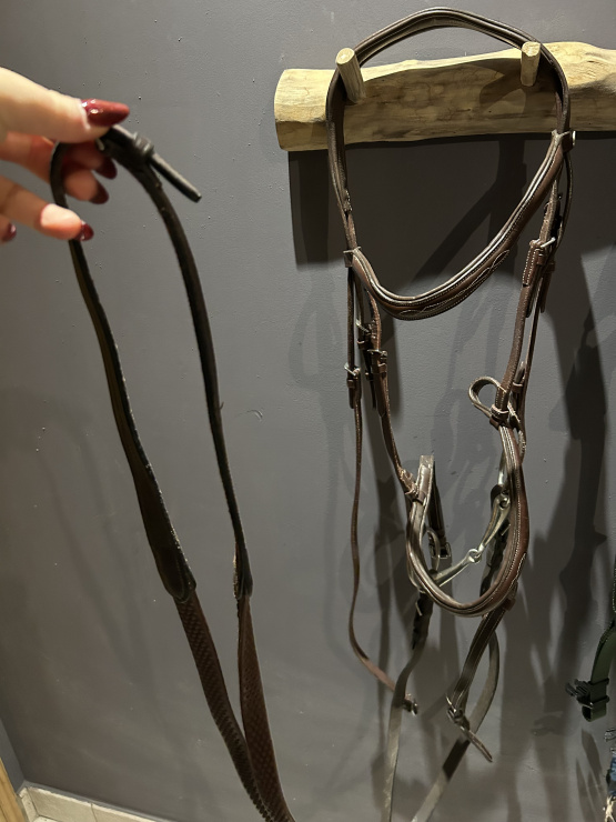 Filet Fouganza (cheval) occasion