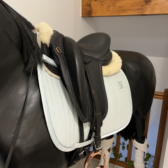Selle dressage Gaston Mercier 17,5 pouces (2022) occasion Selle dressage Gaston Mercier 17,5 pouces (2022) occasion