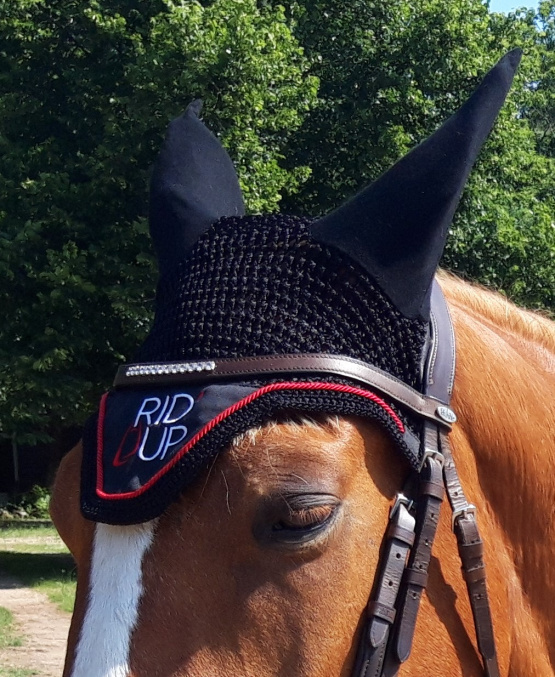 Bonnet Rid'Up noir (cheval) occasion