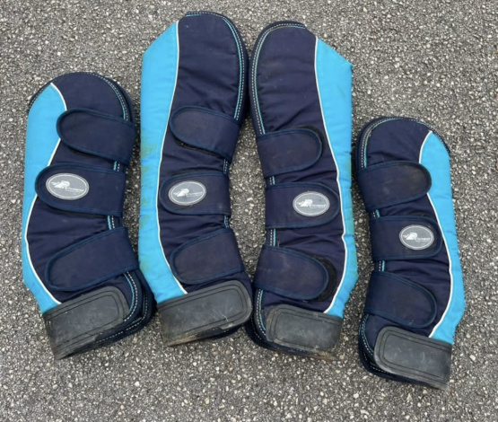 Guêtres de transport Performance (poney) occasion Guêtres de transport Performance (poney) occasion