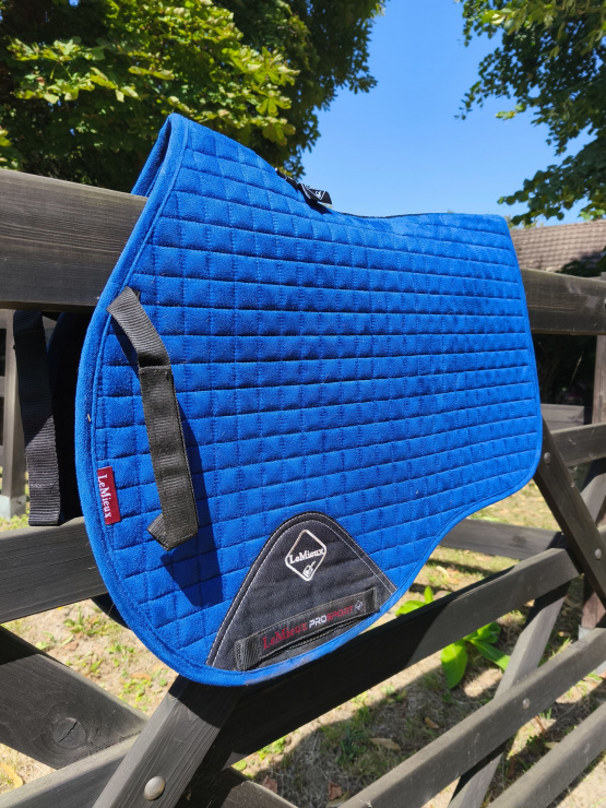 Lot Tapis de selle & bonnet Lemieux bleu( cheval) occasion